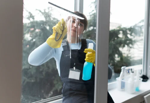 Nettoyage de vitres intérieures et extérieures à Lépaud